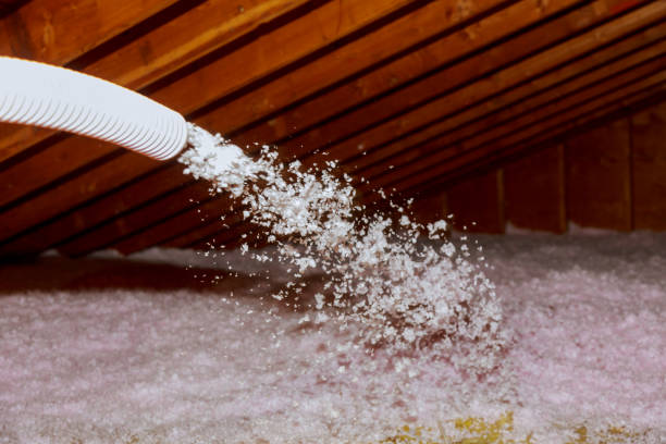 Insulation Replacement Services in Cedar Springs, MI