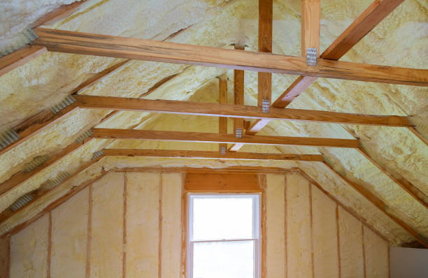 Best Insulation Inspection Services  in Cedar Springs, MI