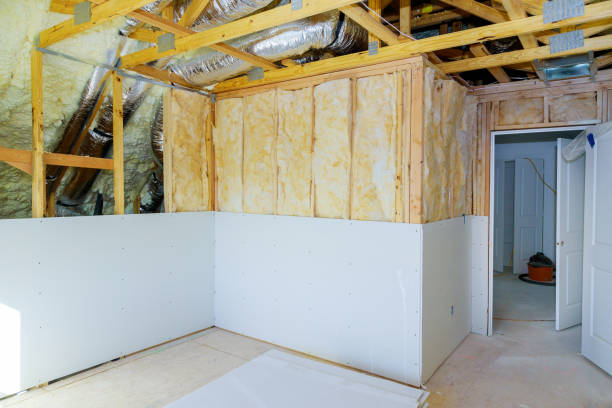 Best Spray Foam Insulation  in Cedar Springs, MI