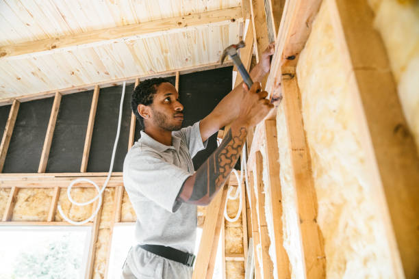 Best Blown-in Insulation  in Cedar Springs, MI