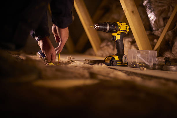 Best Affordable Insulation Services  in Cedar Springs, MI