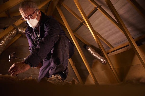 Best Professional Insulation Contractor  in Cedar Springs, MI
