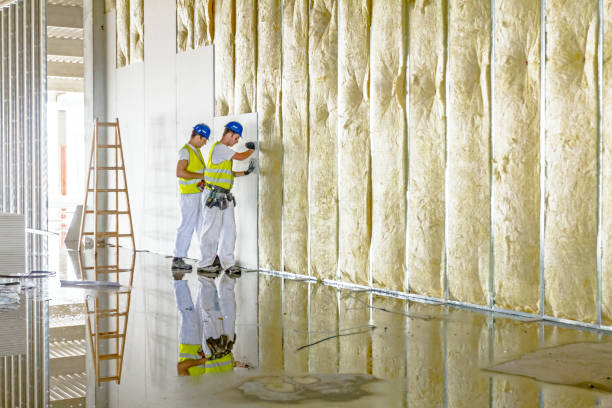 Best Soundproof Insulation Installation  in Cedar Springs, MI